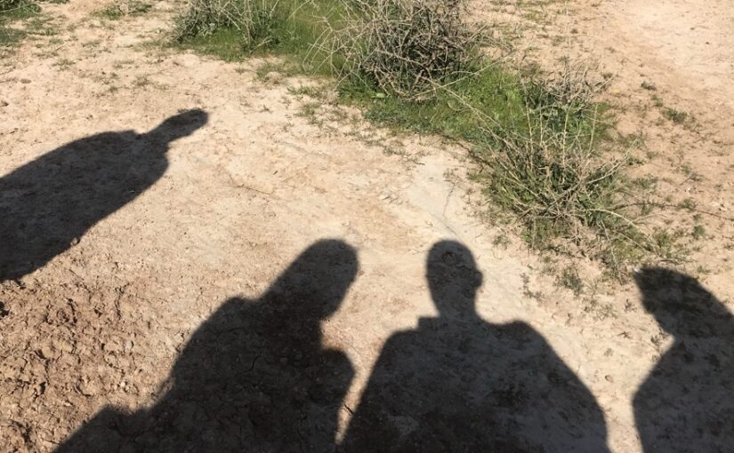 המלחמה שחוזרת הביתה